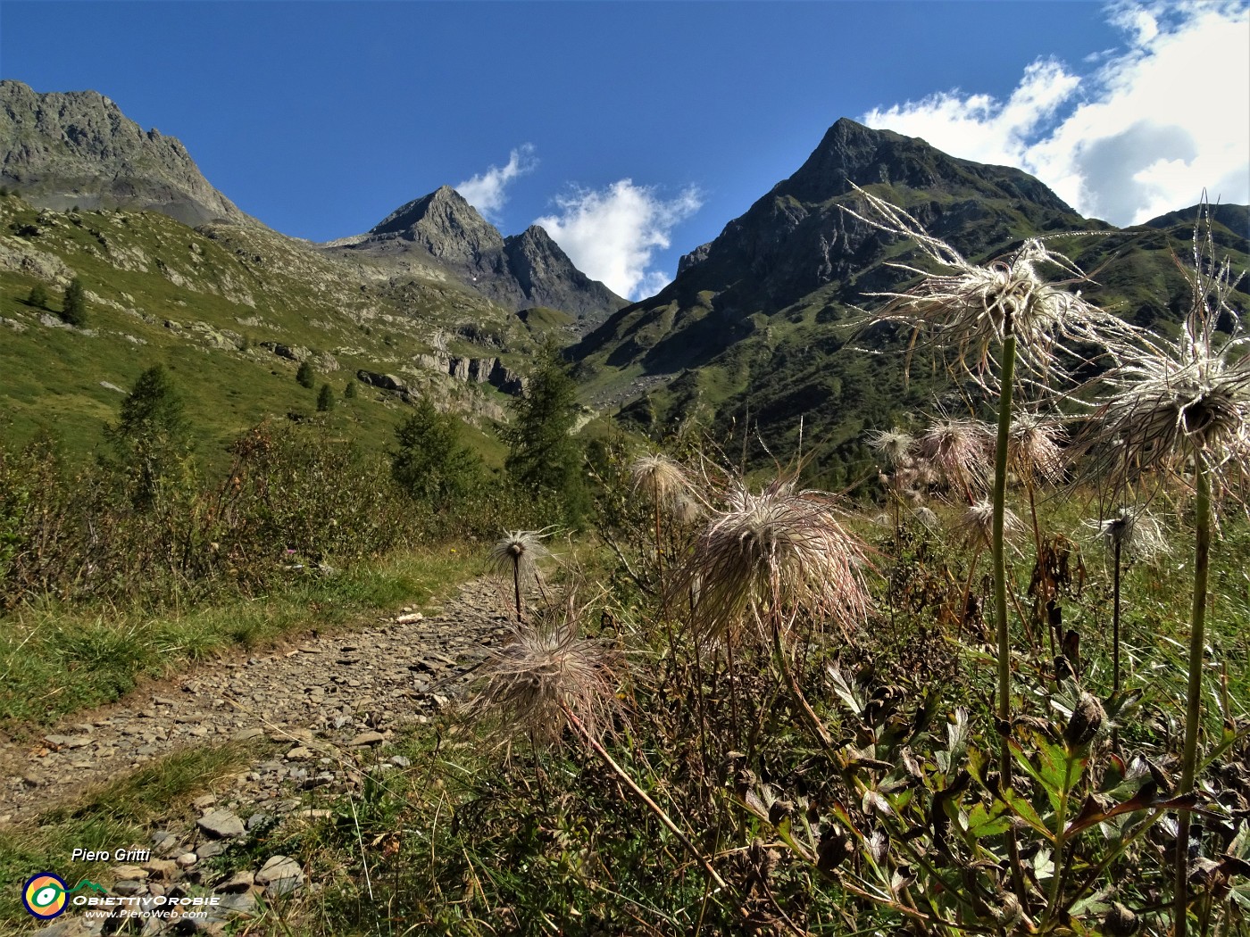 22 Pulsatilla alpina in avanzata fruttescenza con vista verso il Pizzo del Diavolo.JPG